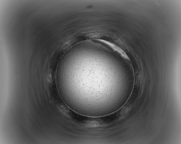 X0000086240655200704051220