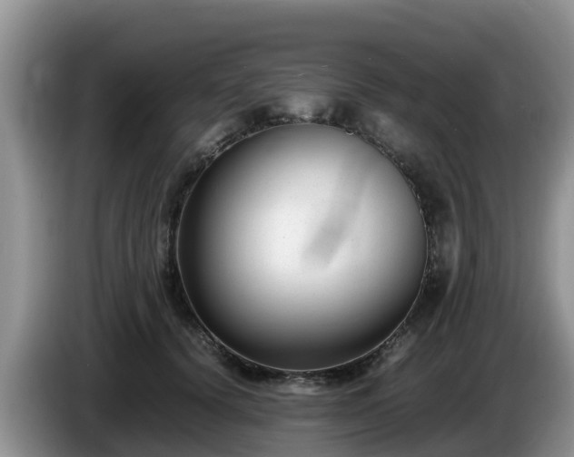 X0000086240656200704051220