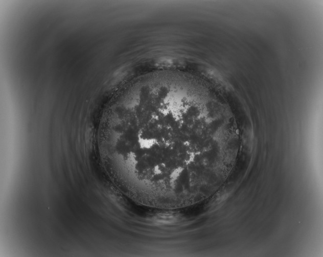X0000086240659200704051220