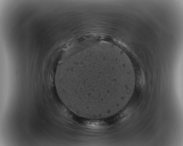 X0000086240661200704051220