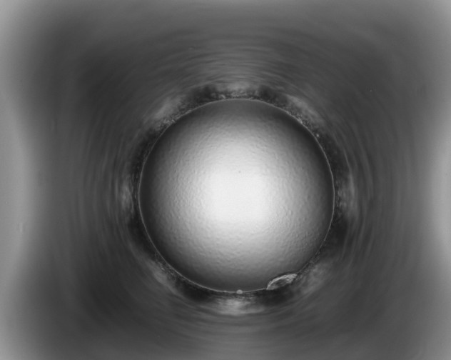 X0000086240662200704051220