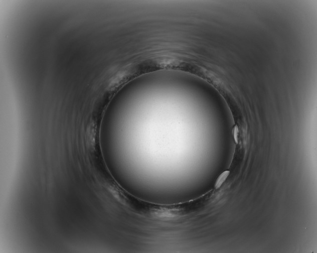X0000086240664200704051220