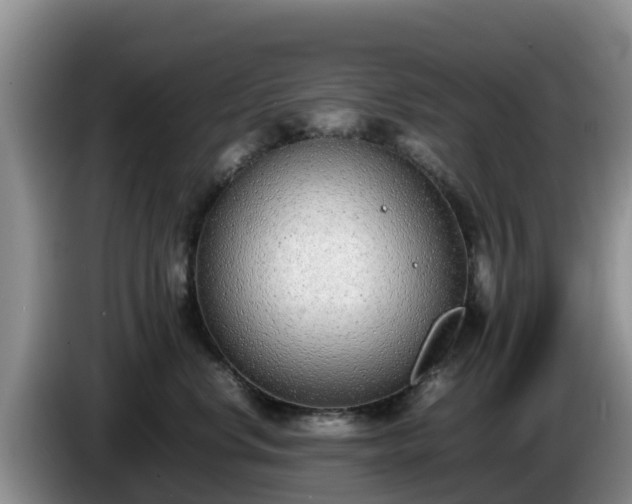 X0000086240668200704051220