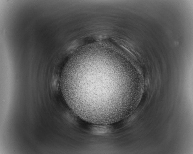 X0000086240671200704051220