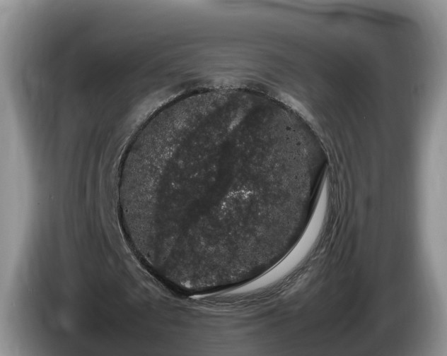 X0000086240673200704051219