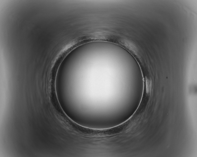 X0000086240675200704051219