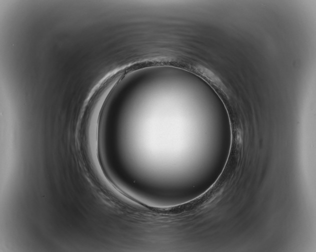 X0000086240676200704051219