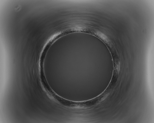 X0000086240678200704051219