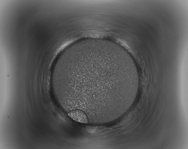 X0000086240679200704051219