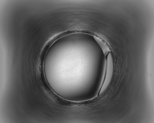 X0000086240680200704051219