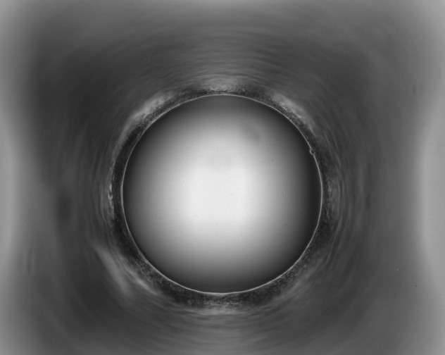 X0000086240682200704051219