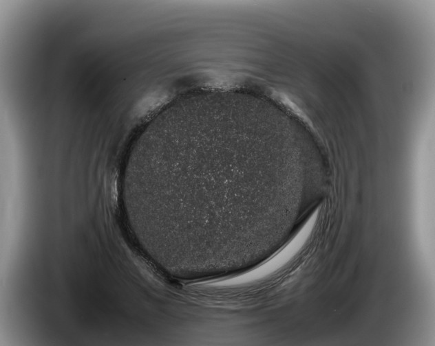 X0000086240685200704051219