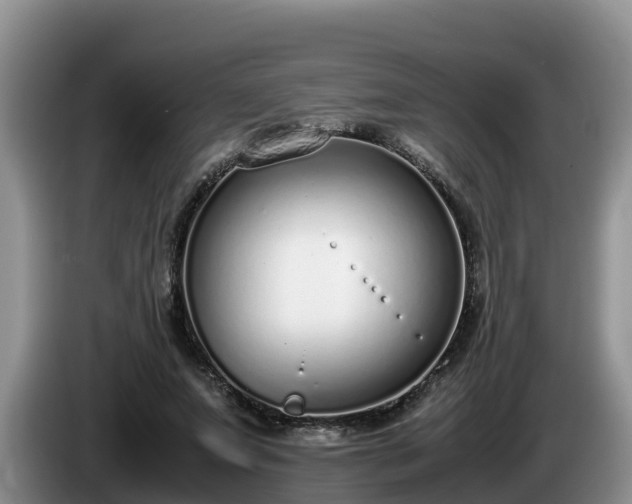 X0000086240687200704051219