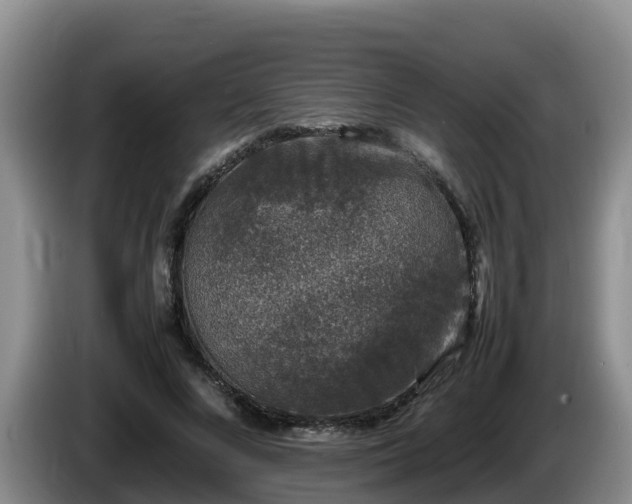 X0000086240688200704051219