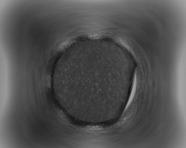X0000086240689200704051219