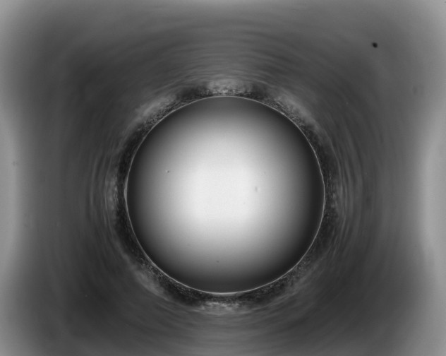 X0000086240690200704051219