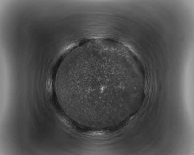 X0000086240692200704051219