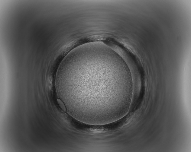 X0000086240693200704051219