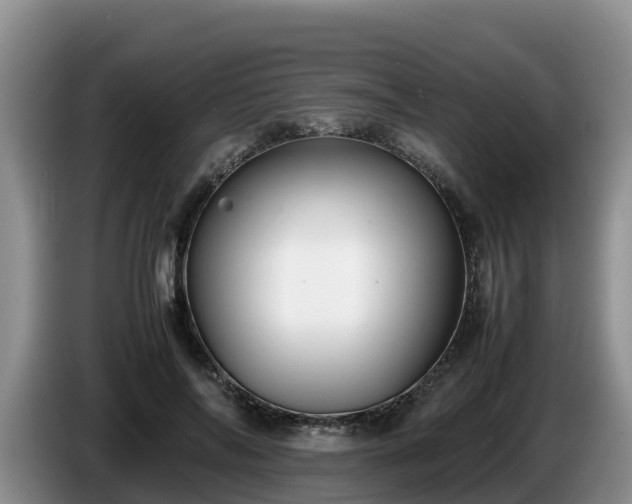 X0000086240694200704051219