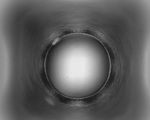 X0000086240695200704051219