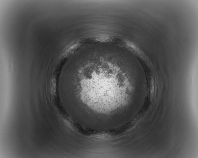 X0000086240696200704051219