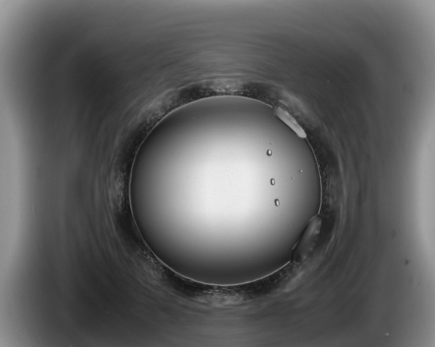 X0000086240697200704051219