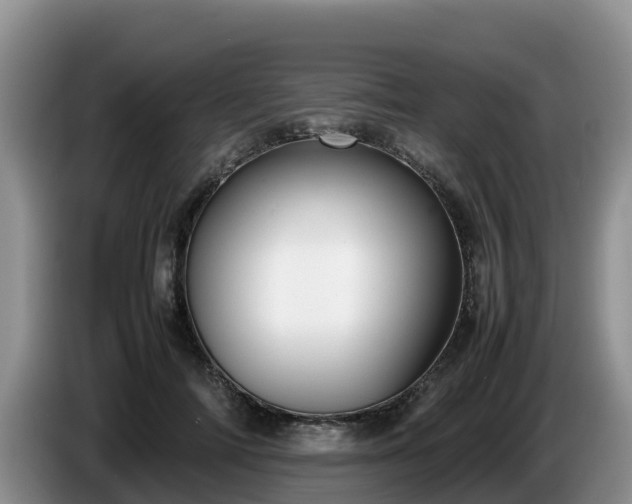 X0000086240698200704051219