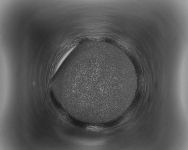 X0000086240699200704051219