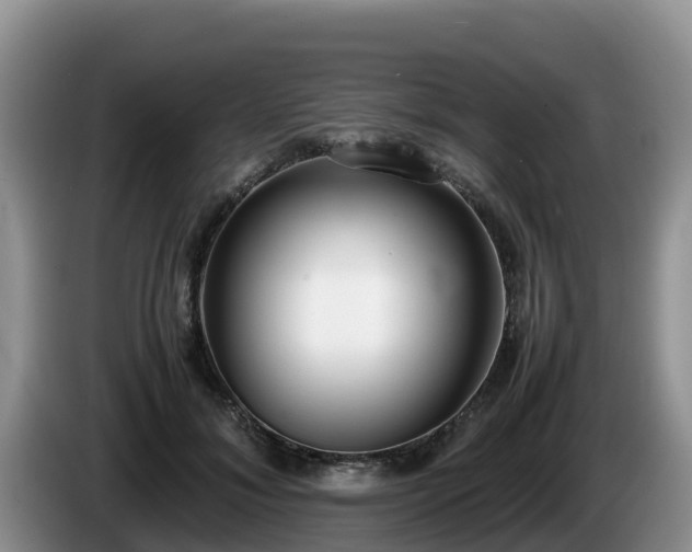 X0000086240700200704051219