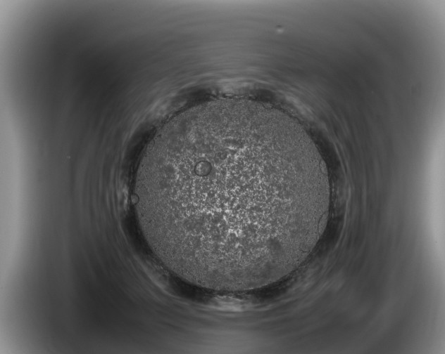 X0000086240703200704051219