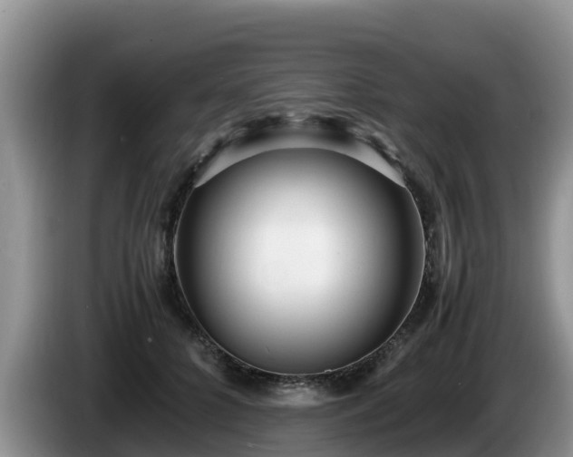 X0000086240704200704051219