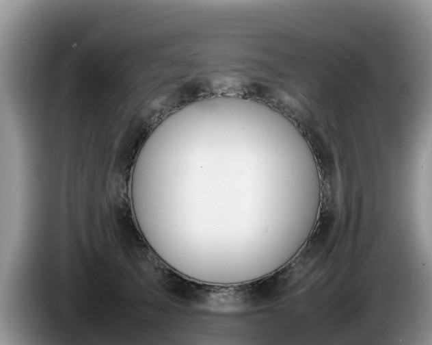 X0000086240705200704051219