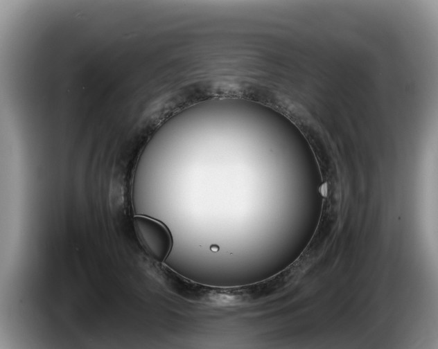 X0000086240706200704051219
