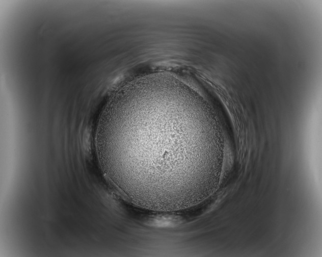 X0000086240708200704051219