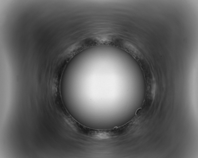 X0000086240710200704051219