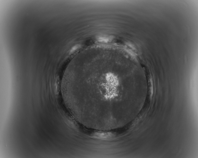 X0000086240712200704051219