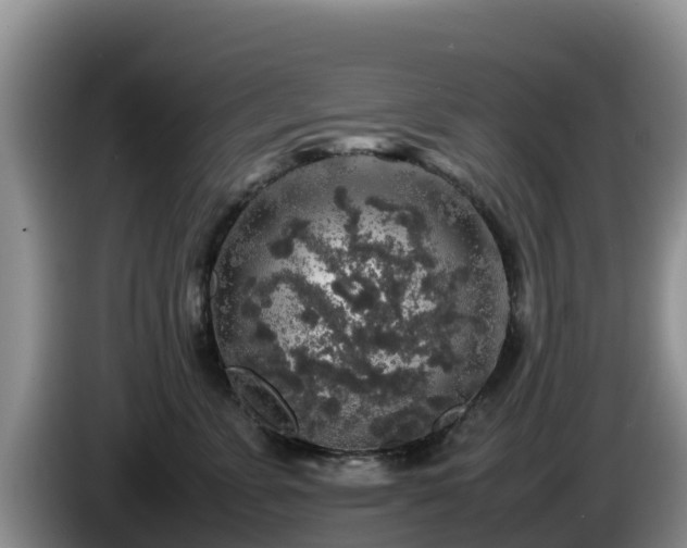 X0000086240715200704051219