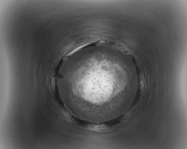X0000086240716200704051219