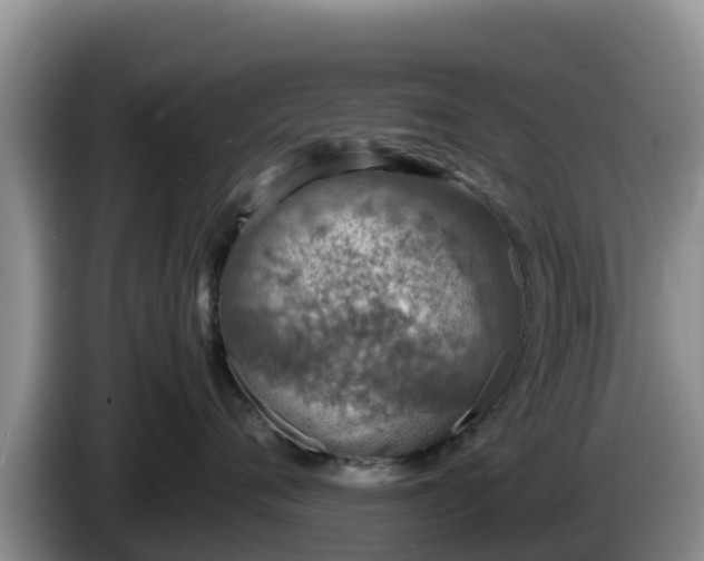 X0000086240720200704051219
