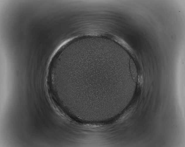 X0000086240724200704051218