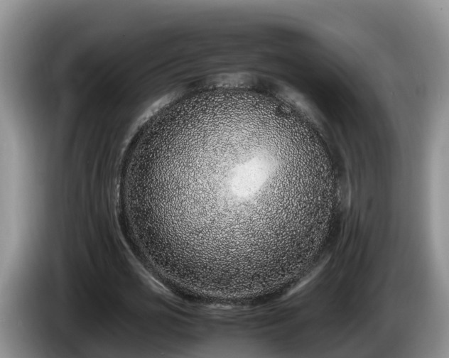 X0000086240725200704051218