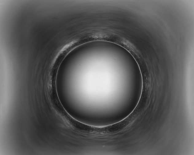 X0000086240727200704051218
