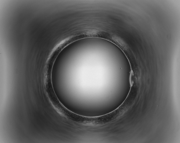 X0000086240728200704051218