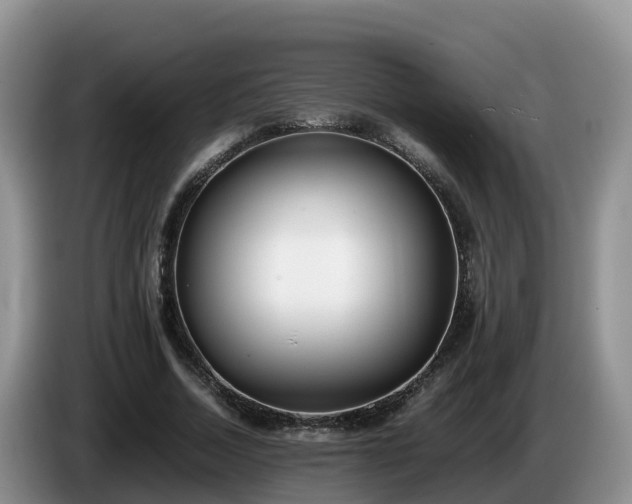 X0000086240730200704051218
