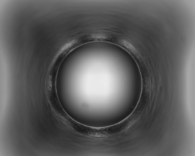 X0000086240731200704051218