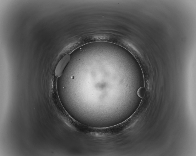 X0000086240733200704051218