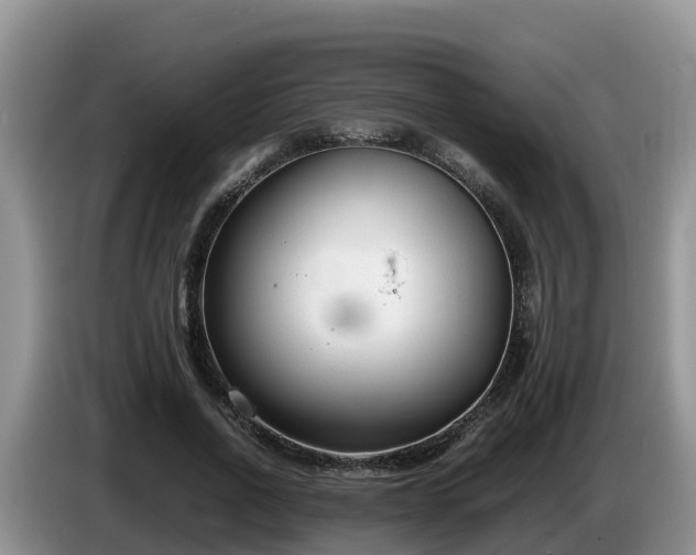X0000086240734200704051218