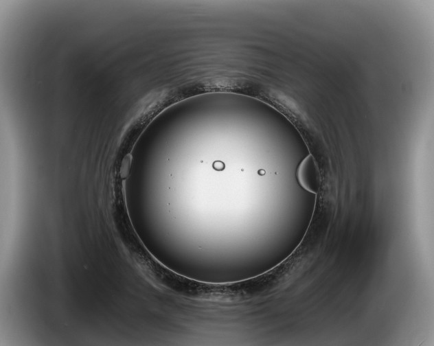 X0000086240738200704051218