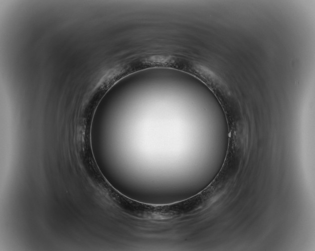 X0000086240739200704051218
