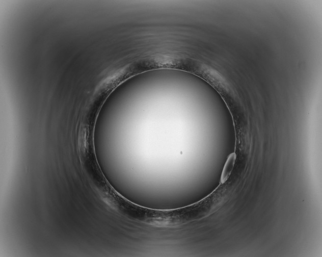 X0000086240740200704051218